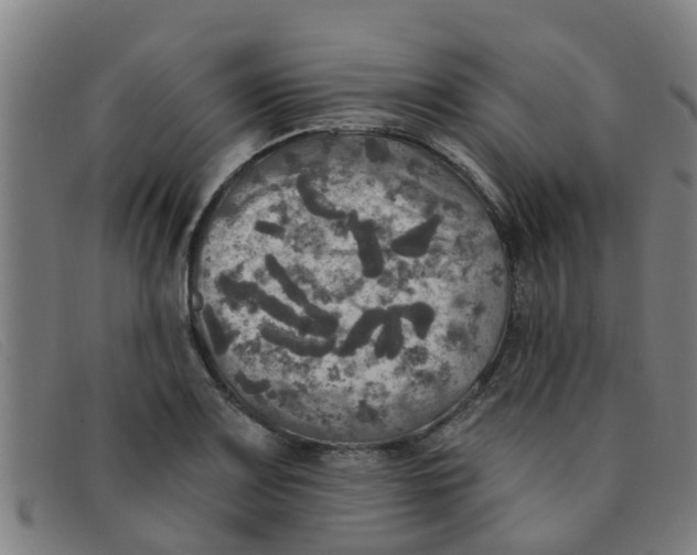 X0000091351083200708311511