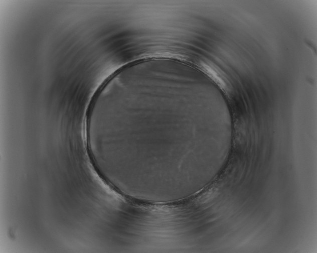 X0000091351084200708311511