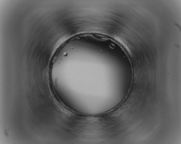 X0000091351085200708311511