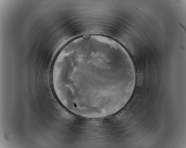 X0000091351086200708311511