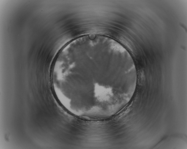X0000091351087200708311511