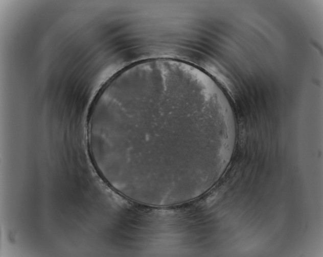 X0000091351088200708311511