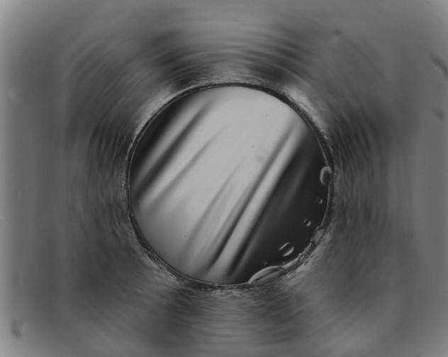 X0000091351089200708311511