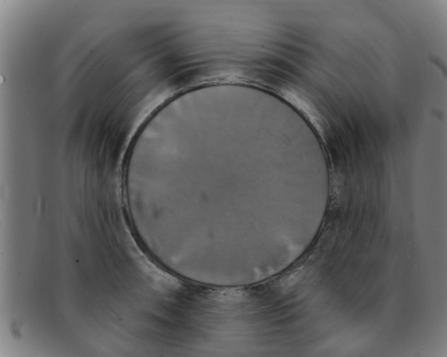 X0000091351090200708311511