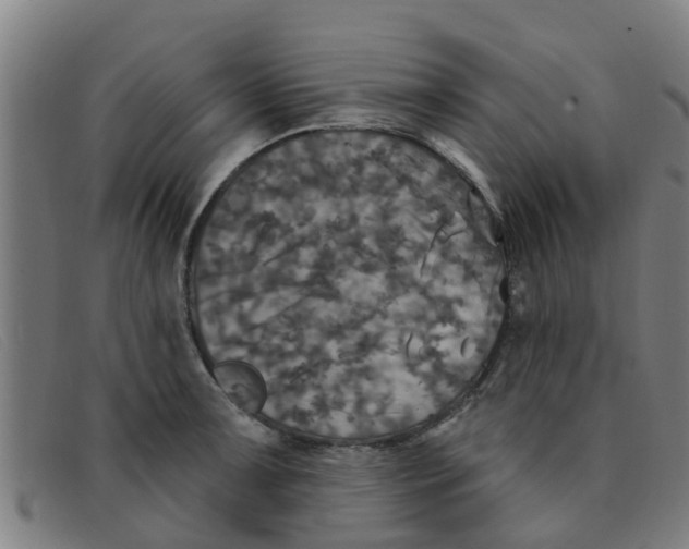 X0000091351091200708311511