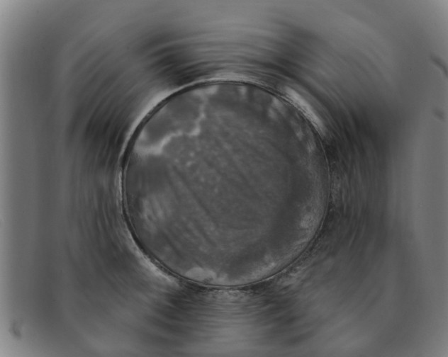 X0000091351092200708311511