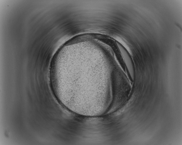 X0000091351093200708311511