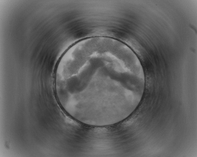 X0000091351094200708311511