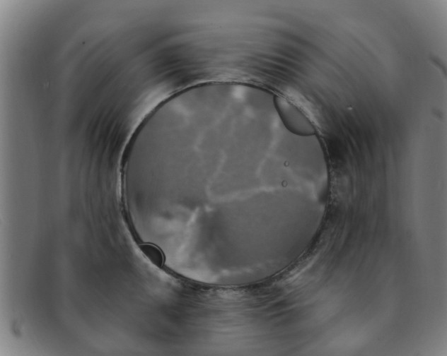 X0000091351095200708311511
