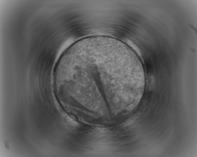 X0000091351096200708311511