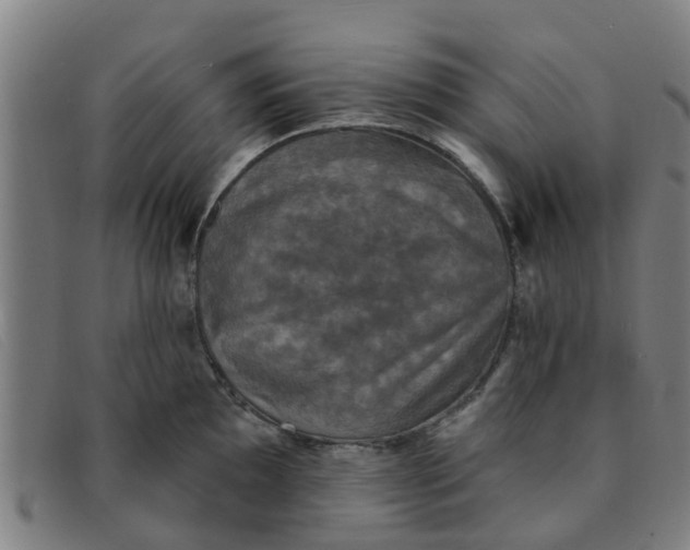 X0000091351097200708311511