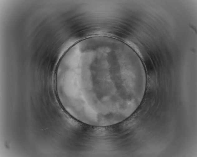 X0000091351098200708311511