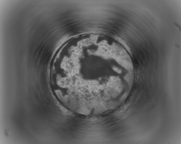 X0000091351099200708311511