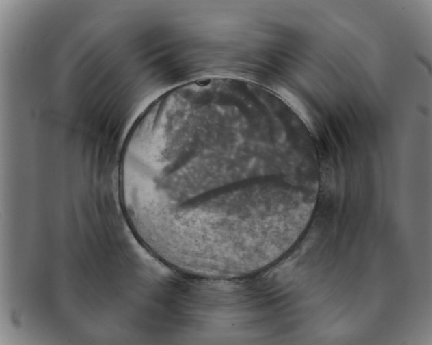X0000091351100200708311511
