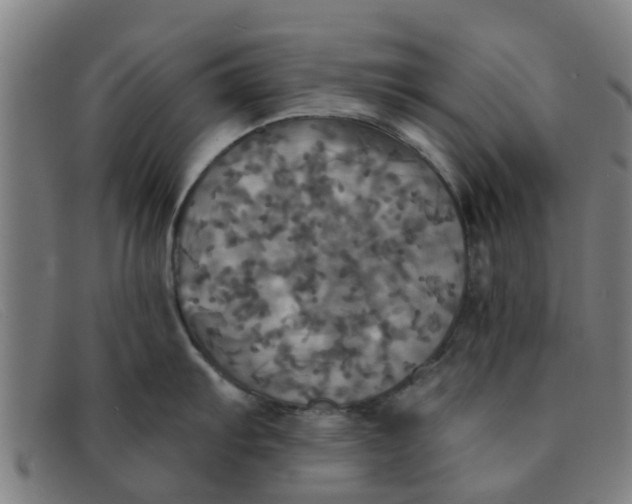 X0000091351103200708311511