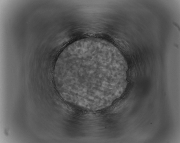 X0000091351105200708311510