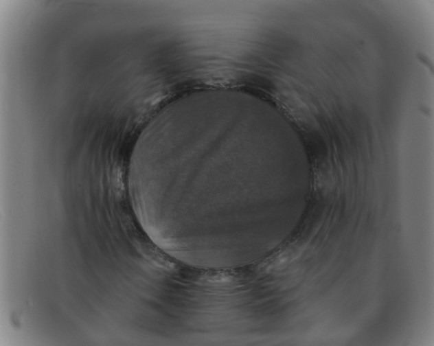 X0000091351106200708311510