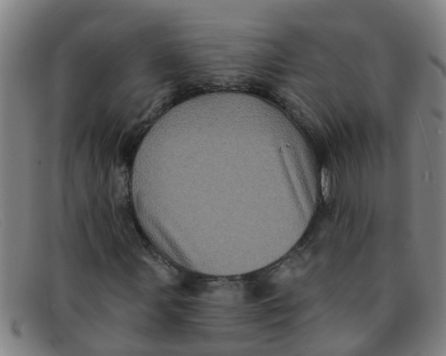 X0000091351107200708311510