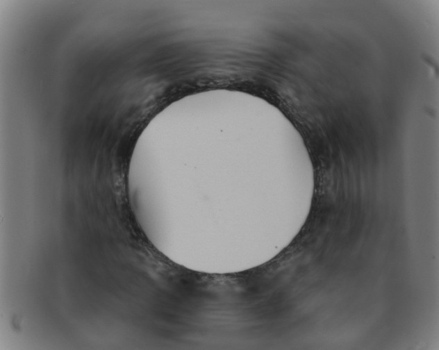 X0000091351109200708311510