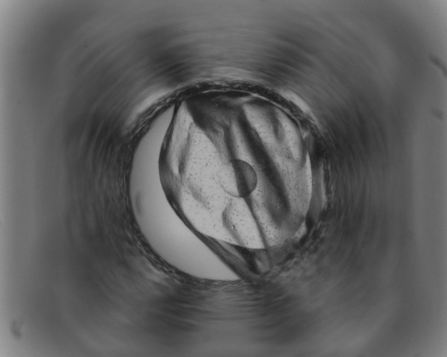 X0000091351112200708311510