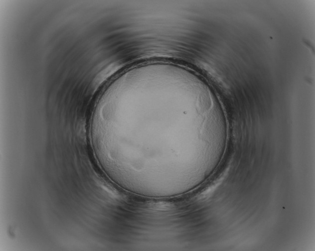 X0000091351113200708311510