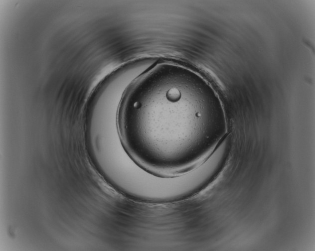 X0000091351114200708311510
