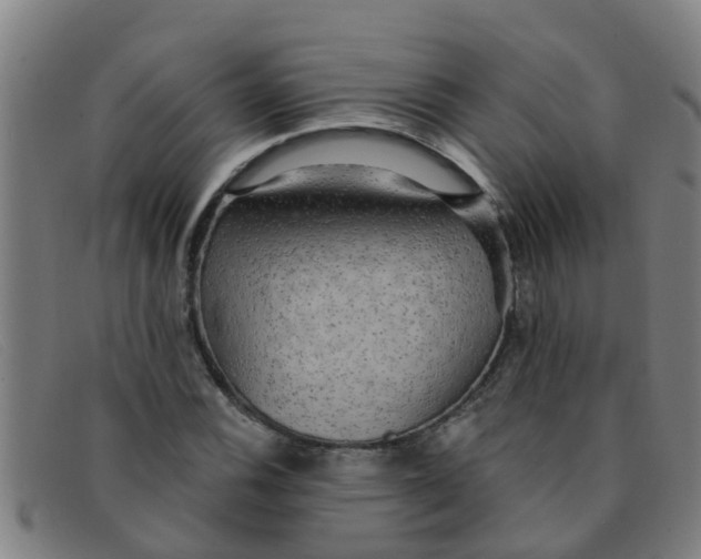 X0000091351116200708311510