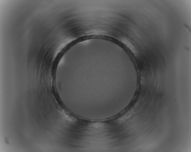X0000091351117200708311510