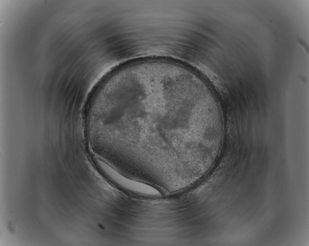 X0000091351118200708311510