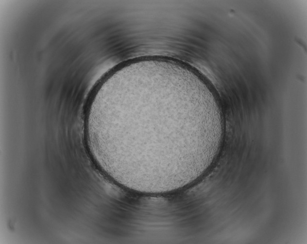 X0000091351119200708311510