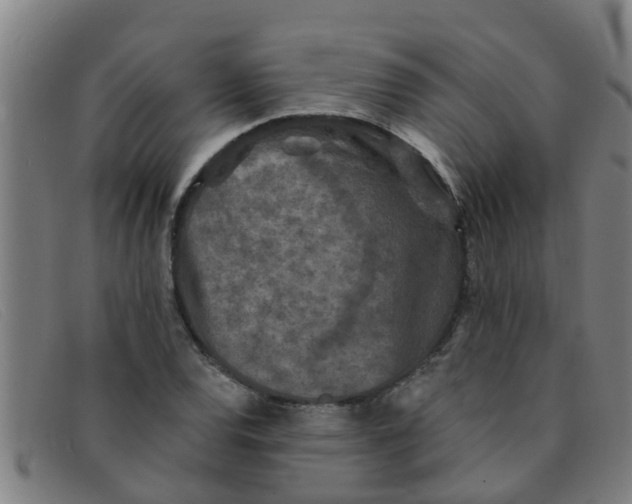 X0000091351120200708311510