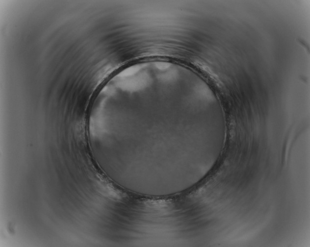 X0000091351121200708311510