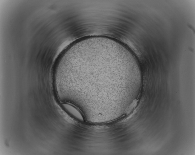 X0000091351122200708311510