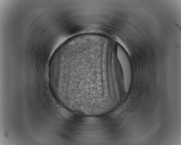 X0000091351124200708311510