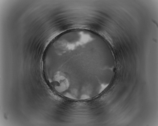 X0000091351125200708311510