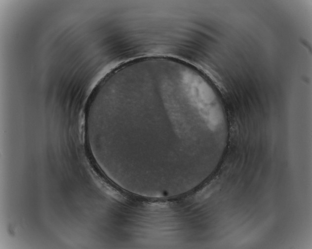X0000091351126200708311510
