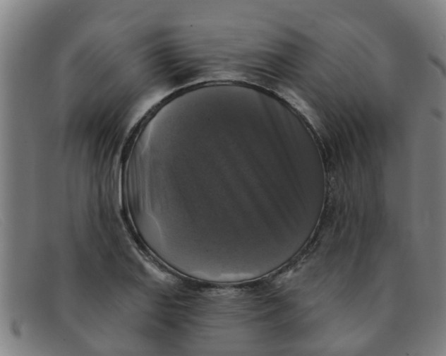 X0000091351127200708311510