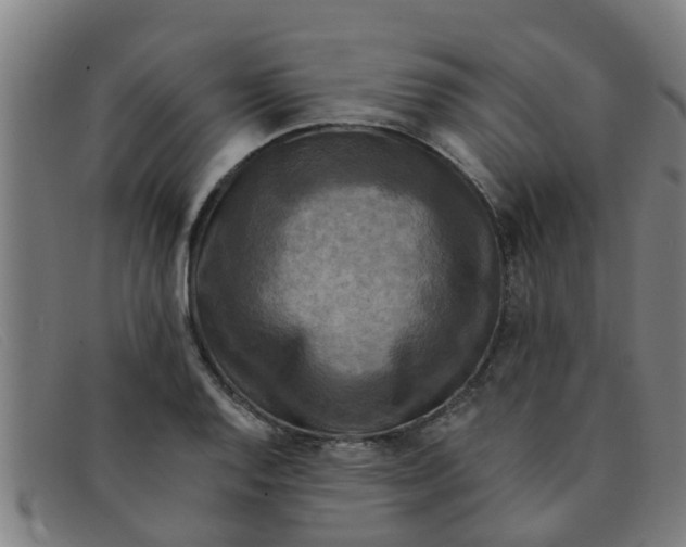 X0000091351128200708311510