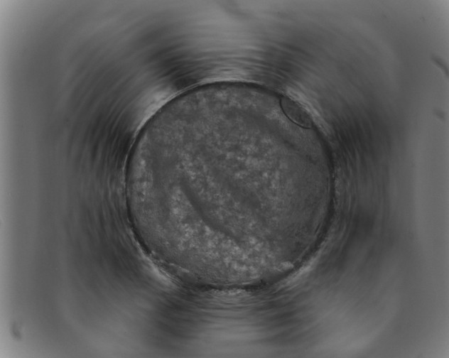 X0000091351129200708311511