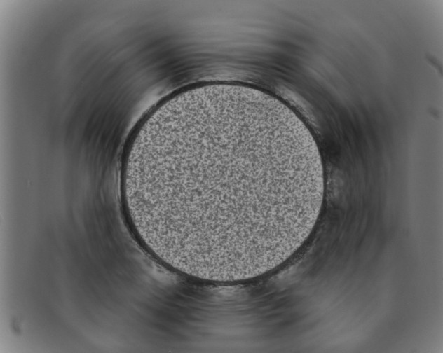 X0000091351130200708311511