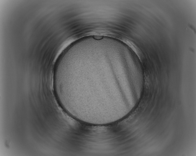 X0000091351131200708311511
