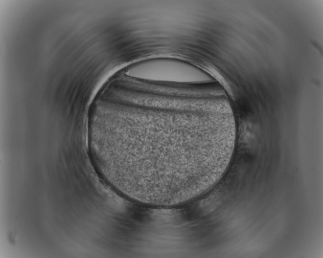X0000091351132200708311511