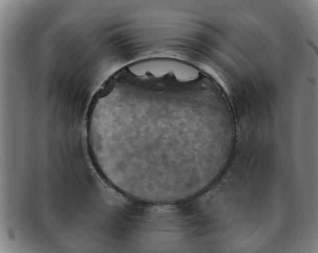 X0000091351133200708311511