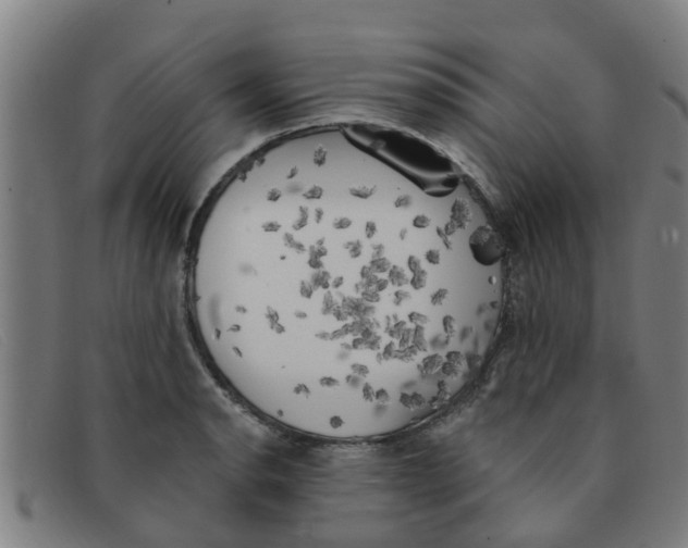 X0000091351134200708311511