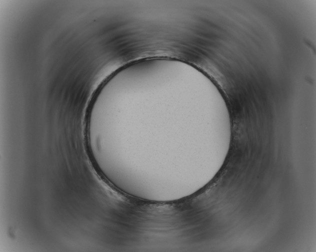 X0000091351135200708311511