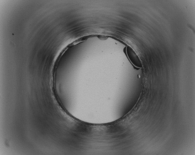 X0000091351136200708311511
