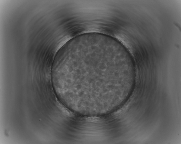 X0000091351137200708311511