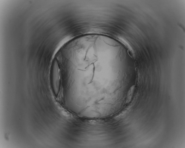 X0000091351138200708311511