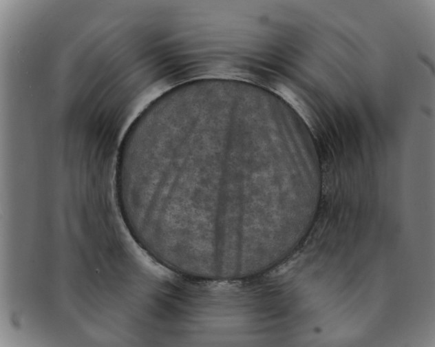 X0000091351139200708311511