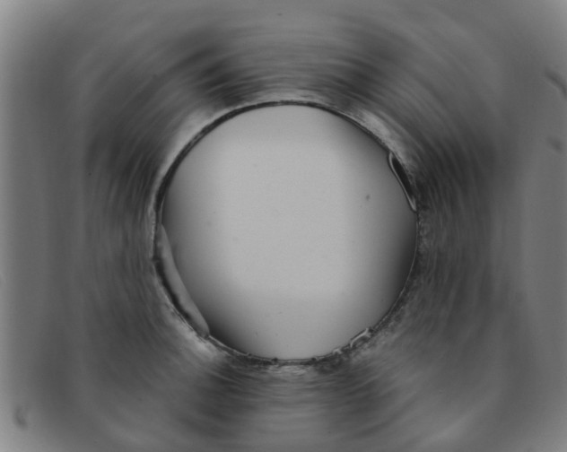 X0000091351140200708311511
